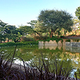 sama landscape design Revitalization of Taljai Hill